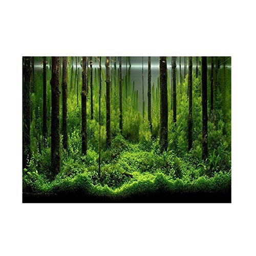 Forest Tank Aquarium Poster PVC Adhesive Underwater Forest Tank Background Poster Backdrop Decoration Paper 6141cm