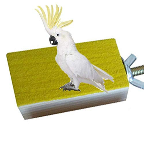 Hypeety Parrot Wooden Perch Platform Playground Macaw African Greys Budgies Parakeet Cockatiels Conure Macaw Finch Cage Shelf Toy Cage Accessories?Random Color?  A