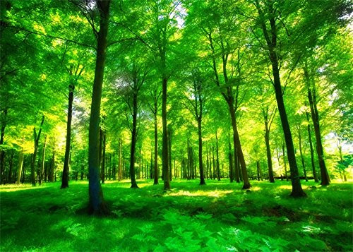 Leowefowa 7X5FT Spring Backdrop Jungle Forest Trees Backdrops for Photography Sunshine Green Grassland Nature Spring Vinyl Photo Background Kids Lover Outdoor Party Decoration Photo Studio Props Leowefowa 7X5FT Spring Backdrop Jungle Forest Trees Backdrops for Photography Sunshine Green Grassland Nature Spring Vinyl Photo Background Kids Lover Outdoor Party Decoration Photo Studio Props