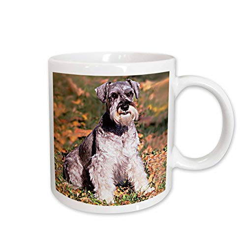3dRose Schnauzer Mug, 15-Ounce