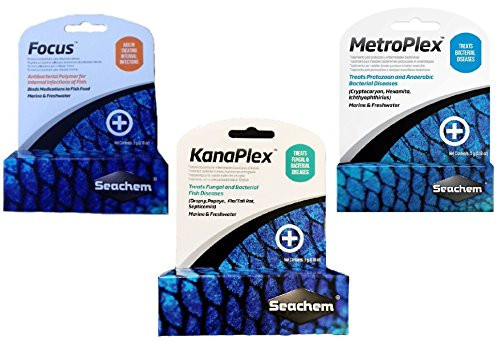 Seachem 3 Piece Treatment Kit 1 Focus 1 Metroplex and 1 Kanaplex 5 Grams Each Seachem 3 Piece Treatment Kit 1 Focus 1 Metroplex and 1 Kanaplex 5 Grams Each