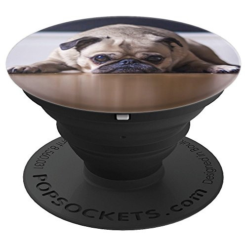 Cute Lazy Pug Photo Photography PopSockets Grip and Stand for Phones and Tablets Cute Lazy Pug Photo Photography PopSockets Grip and Stand for Phones and Tablets