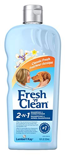 Fresh n Clean 2in1 Shampoo 18oz Fresh Clean