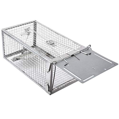 Gingbau Humane Rat Trap Live Chipmunk Mouse Cage Trap  Medium