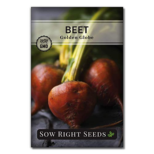 Sow Right Seeds   Golden Globe Beet Seed for Planting   Non GMO Heirloom Packet with Instructions to Plant a Home Vegetable Garden   Great Gardening Gift  1