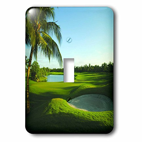 3dRose lsp 80826 1 Golf Course On Thailand Single Toggle Switch