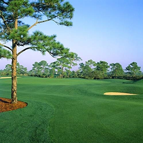 Posterazzi Golf course West Bay Club Estero Lee County Florida USA Poster Print  24 x 24