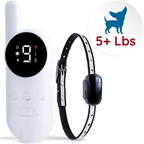 GoodBoy Mini No Shock Remote Collar for Dogs with Beep and Vibration Modes for Pet Behaviour Training   Waterproof   1000 Feet Range   Suitable for Extra Small to Medium Dogs  5 15 lbs