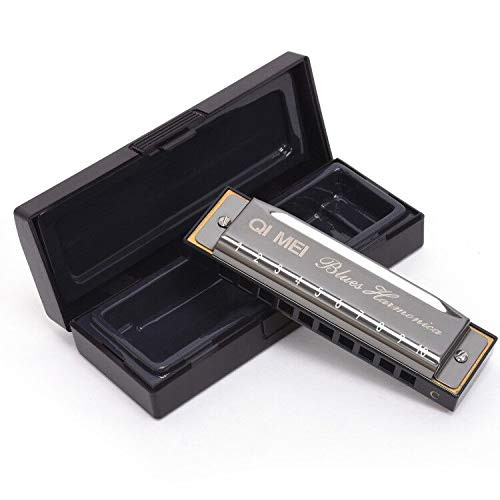 Diatonic Blues Harmonica Key of C 10 Holes 20 Tones Diatonic Blues Harmonica with Case for Beginners Students Kids Gift  Silver