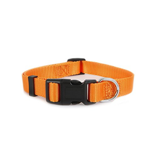 Petmate Ruff Maxx Adjustable Collar Orange 3 4  x 14 20