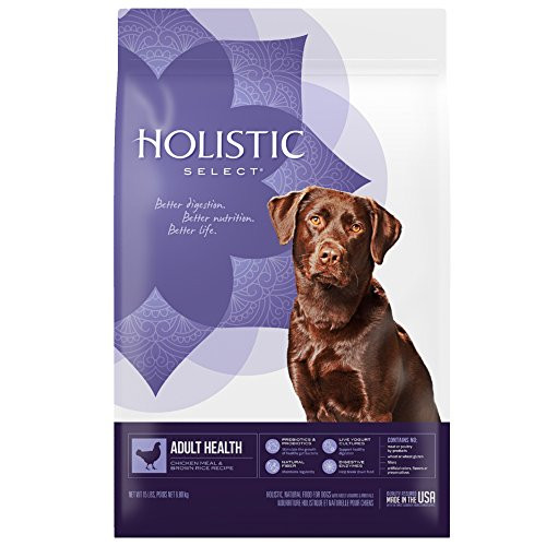 Holistic Select Natural Dry Dog Food Chicken Meal   Rice Recipe 15 Pound Bag