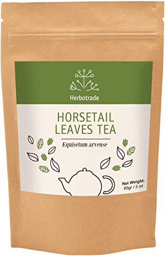 100  Pure Horsetail  Equisetum arvense  Dried Leaves Natural Wildcrafted Herbal Tea  Loose  3 oz   90gr by Teliaoils in Resealable Pouch