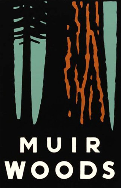 American Vinyl Muir Woods Art Poster Bumper Sticker  rv National Park Hike