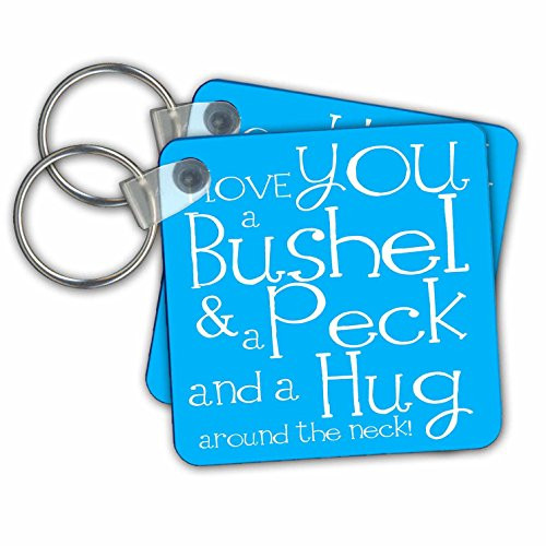 3dRose I Love You a Bushel and a Peck Blue Key Chains Set of 2  kc 193476 1