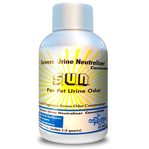 Severe Urine Neutralizer for Dog and Cat Urine   Best Odor Eliminator and Stain Remover for Carpet Hardwood Floors Concrete Mattress Furniture Laundry Turf by Remove Urine