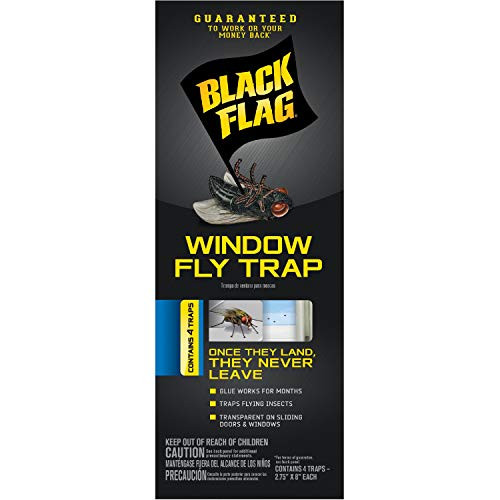 Black Flag HG 11018 Window Fly Trap Ready to Use 4 Count 24