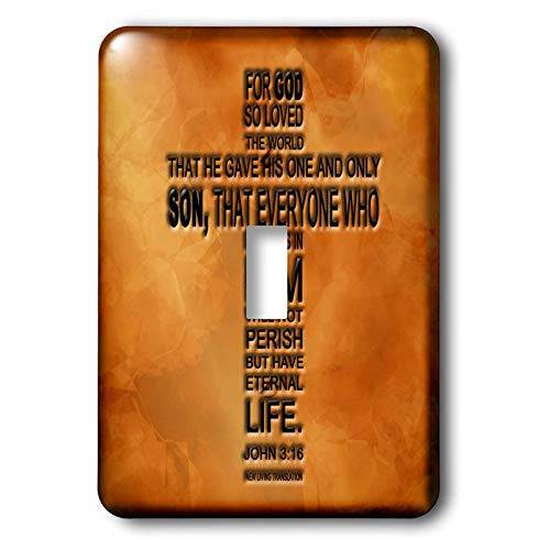 3dRose lsp 29092 1 John 3 16 bible verse embossed on a copper background Toggle Switch Multi Color 3dRose lsp 29092 1 John 3 16 bible verse embossed on a copper background Toggle Switch Multi Color