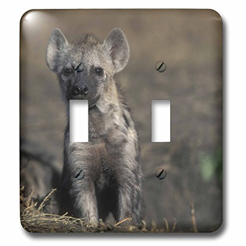 3dRose lsp 76271 2 Kenya Masai Mara Game Reserve Spotted Hyena wildlife AF21 PSO0131 Paul Souders Double Toggle Switch