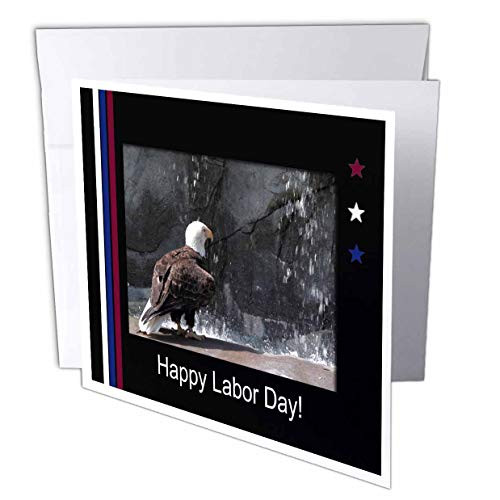 3dRose Labor Day Eagle by Waterfall Greeting Cards 6 x 6 Set of 12 gc 40492 2 3dRose Labor Day Eagle by Waterfall Greeting Cards 6 x 6 Set of 12 gc 40492 2