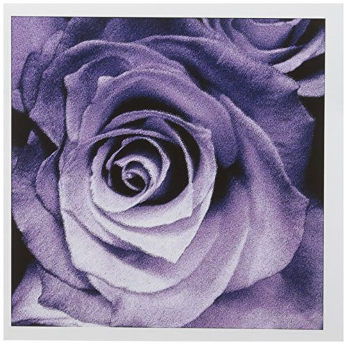 3dRose Lavender Purple Rose   Greeting Cards 6 x 6  Set of 12  gc 27565 2
