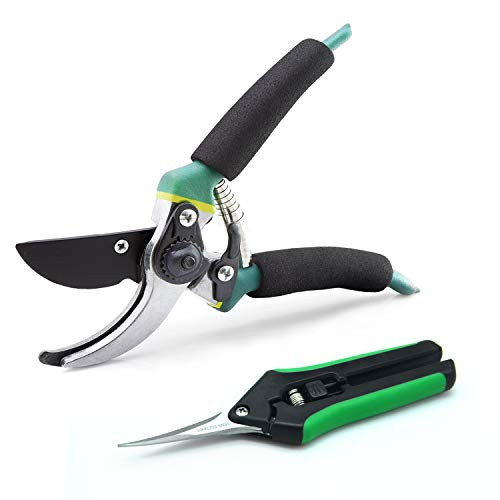 LDK Professional Sharp Bypass Pruning Shears Tree Trimmers SecateursHand Pruner Garden Scissors Clippers for The Garden