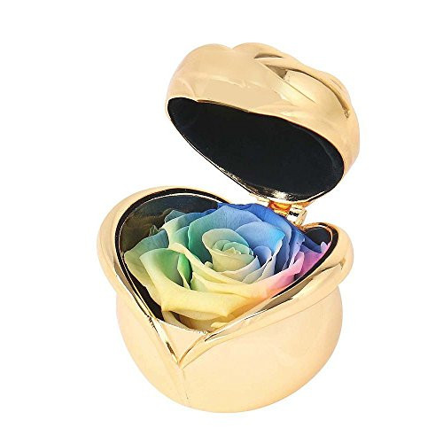 Smiley Handmade Preserved Flower Rose   Preserved Fresh Flower Eternity Rose Gift for Valentine s Day Mother s Day Thanksgiving Day Christmas Birthday Anniversary  Golden   Rainbow