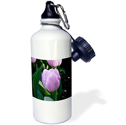 3dRose Purple Tulip Flower Sports Water Bottle 21oz 21 oz Multicolor 3dRose Purple Tulip Flower Sports Water Bottle 21oz 21 oz Multicolor