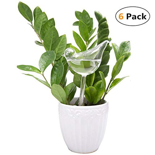 Mkono Plant Waterer Bulbs Self Watering Globes Automatic Watering Stakes Bird Shape Design Hand Blown Clear Glass Plant Water Drippers Irrigation Devices for Indoor and Outdoor Plants Set of 6 Mkono Plant Waterer Bulbs Self Watering Globes Automatic Watering Stakes Bird Shape Design Hand Blown Clear Glass Plant Water Drippers Irrigation Devices for Indoor and Outdoor Plants Set of 6