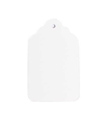 NAHANCO 4NS Unstrung 1x1 1 2  Unstrung All Purpose Merchandise Tags White 1000 Carton  Pack of 1000