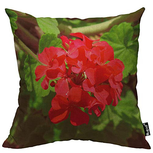 Mugod Pelargonium Throw Pillow Cover Geranium Elegant Flowers Leaf Floral Red Green Cotton Linen Square Cushion Cover Standard Pillowcase 18x18 Inch for Home Decorative Bedroom Living Room Car Mugod Pelargonium Throw Pillow Cover Geranium Elegant Flowers Leaf Floral Red Green Cotton Linen Square Cushion Cover Standard Pillowcase 18x18 Inch for Home Decorative Bedroom Living Room Car