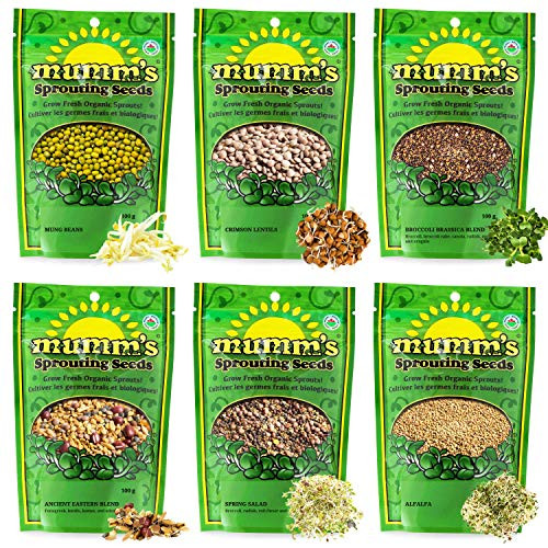 Mumm s Sprouting Seeds   Starter Sample Pack   625 GR   Organic Sprout Seed Kit   Broccoli Radish Alfalfa Mung Bean