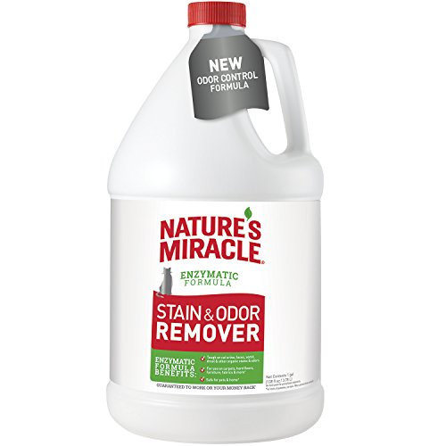Nature s Miracle Cat Stain and Odor Remover Pour 128 fl oz