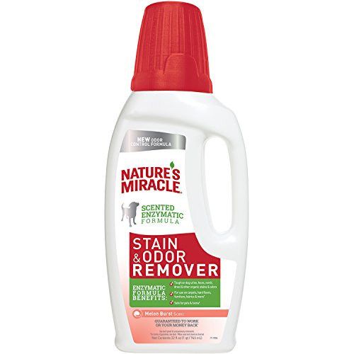Nature s Miracle P 98110 Stain and Odor RemoverMelon Burst 32 oz