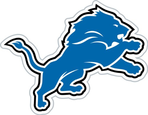 NFL Detroit Lions 12 Inch Vinyl Logo Magnet