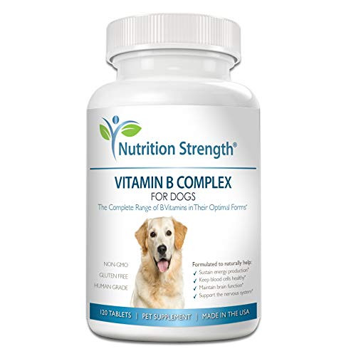 Nutrition Strength Vitamin B for Dogs Complete B Complex for Dogs Promote Blood Cell Nervous System Health Help Sustain Cellular Energy Production Maintain Brain Function 120 Chewable Tablets Nutrition Strength Vitamin B for Dogs Complete B Complex for Dogs Promote Blood Cell Nervous System Health Help Sustain Cellular Energy Production Maintain Brain Function 120 Chewable Tablets