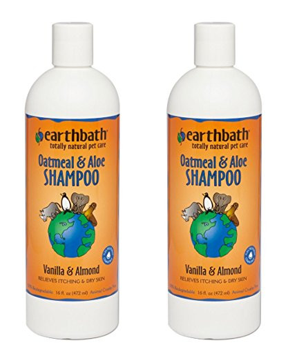 Earthbath 84002 2 All Natural Shampoo  2 Pack  16 oz