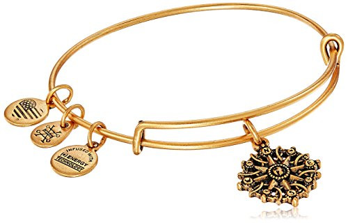 Alex and Ani Compass III Rafaelian Gold Bangle Bracelet