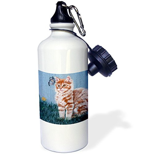 3dRose  Orange and White Striped Tabby Kitten Staring at Butterfly with Blue Crackled Background  Sports Water Bottle 21 oz White