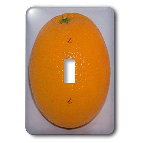 3dRose LLC lsp 21646 1 Orange White Background   Single Toggle Switch
