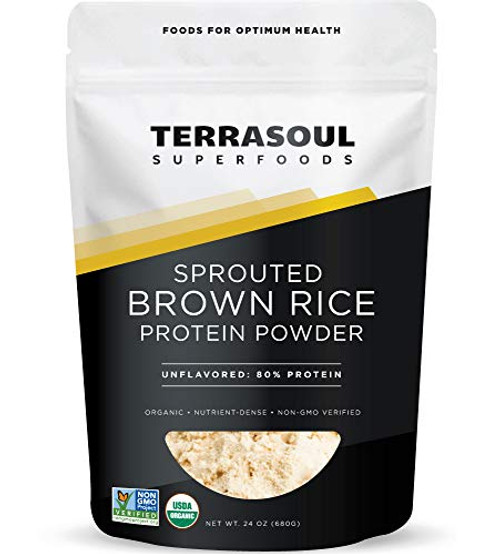 Terrasoul Superfoods Organic Sprouted Brown Rice Protein Powder 15 Pounds