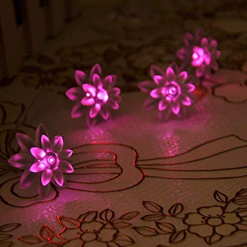 ER CHEN(TM Battery Operated Indoor and Outdoor 60 LED Lotus Flower Fairy Lights on 22ft PVC String with Timer,for Chrismas, Party, Wedding, Patio, Garden Decor(Pink)