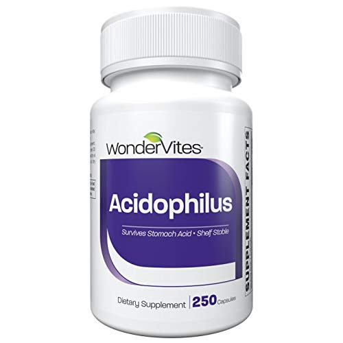 WonderVites Probiotic Acidophilus for Immune Support 2 High Potency Strains Probiotic for Women   Men Stomach Acid Resistant Shelf Stable Gluten Free Acidophilus Probiotic 250 Capsules