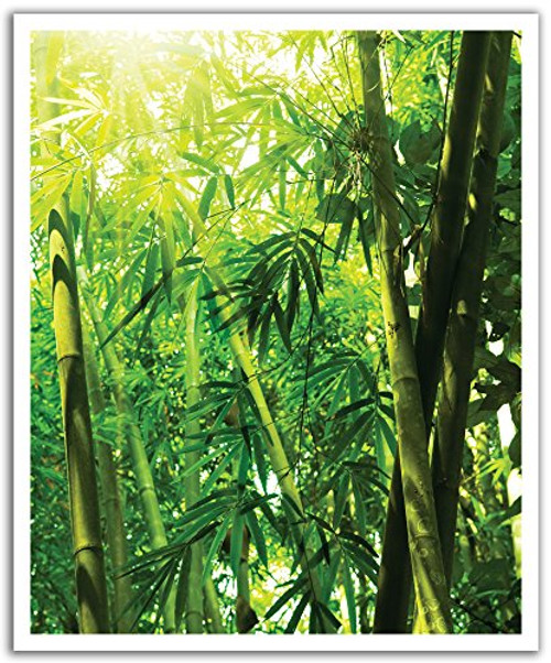 JP London POSLT0052 uStrip Lite Removable Wall Decal Sticker Mural Wild Bamboo Zen Forest 1975 Inch x 24 Inch