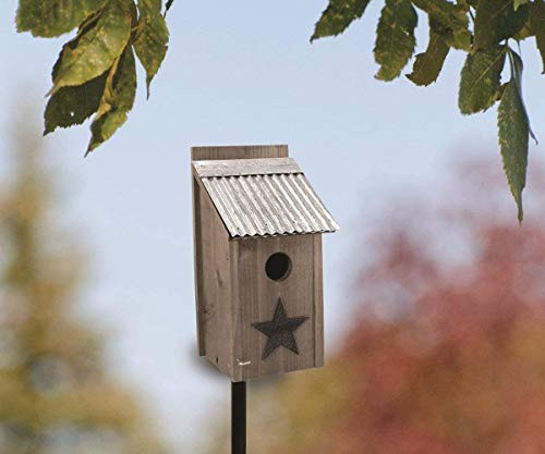Woodlink Audubon Rustic Farmhouse Bluebird House Natural