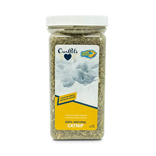 OurPets Premium North American Grown Catnip Jar 3 Ounce
