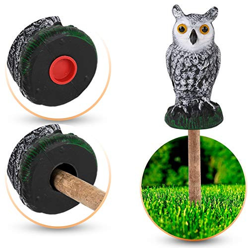 AMILIEe Owl Decoys to Scare Birds Away Bird Scarecrow Fake Owl Decoration for Patio Yard Garden Protector Green AMILIEe Owl Decoys to Scare Birds Away Bird Scarecrow Fake Owl Decoration for Patio Yard Garden Protector Green