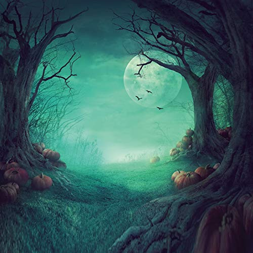 LTLYH 8x8Ft Halloween Background Full Moon Backdrops Horrible Deep Forest Pumpkins Background Halloween Party Decoration Photography Studio Prop A019 LTLYH 8x8Ft Halloween Background Full Moon Backdrops Horrible Deep Forest Pumpkins Background Halloween Party Decoration Photography Studio Prop A019