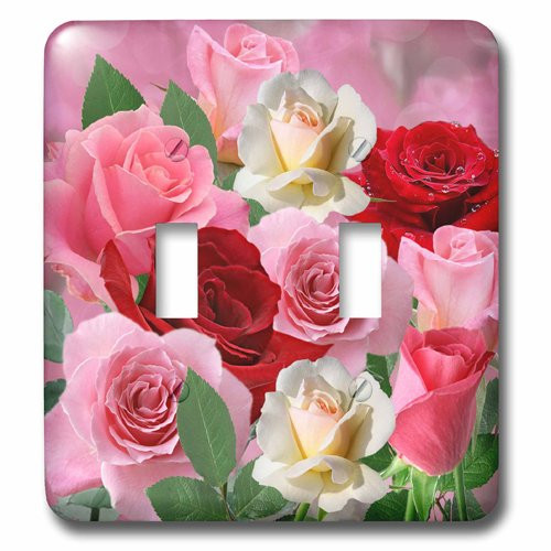 3dRose lsp 214273 2 Pink Red And White Rose Garden With Soft Bokeh Background Double Toggle Switch Multicolor 3dRose lsp 214273 2 Pink Red And White Rose Garden With Soft Bokeh Background Double Toggle Switch Multicolor