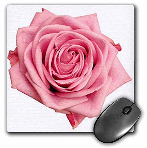 3dRose LLC 8 x 8 x 025 Inches Mouse Pad Pink Rose with White Background  mp 158159 1