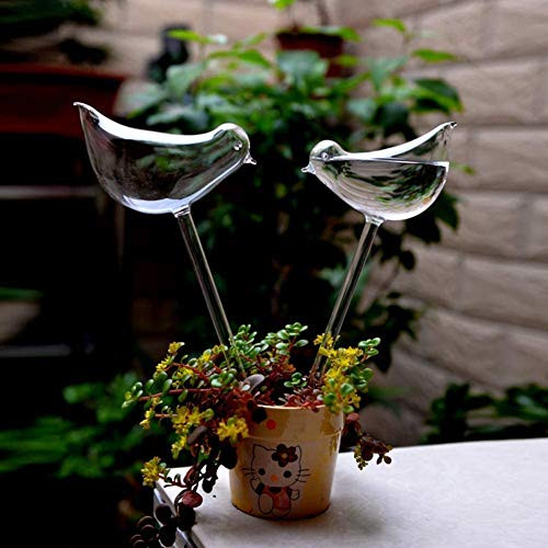 2pcs Bird Shape Hand Blown Clear Glass Self Watering Durable Mini Transparent Bird Shape Plant Watering Siyaglass 2pcs Bird Shape Hand Blown Clear Glass Self Watering Durable Mini Transparent Bird Shape Plant Watering Siyaglass